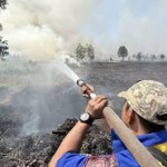 Antisipasi Karhutla, Petugas Petakan Empat Titik Rawan di Hutan Lindung Liang Anggang
