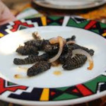 Ulat Pohon Renyah Jadi Menu Harian Favorit Warga Afrika Selatan