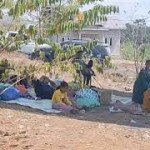 Krisis Pangan Pasca-Gempa Nagekeo, Puluhan Pengungsi Terisolasi Tanpa Bantuan