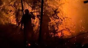 Ratusan Hektare Lahan di Kaltim Terbakar, Kutai Barat Paling Parah