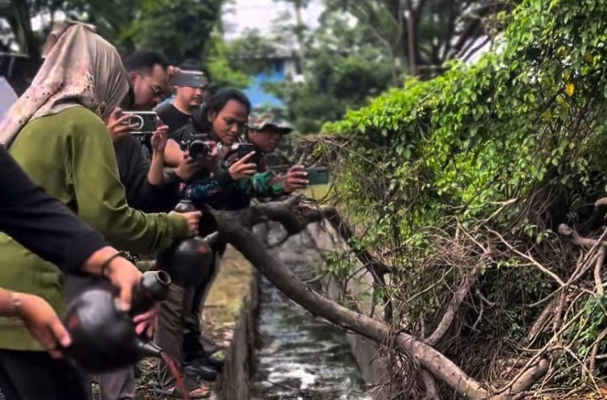 image_870x_694408bde3be4