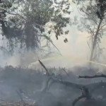 Sumatra Membara, BMKG Deteksi Hampir Enam Ribu Titik Panas Tersebar di 10 Provinsi