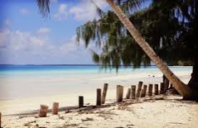images - 2026-10-15T162953.912