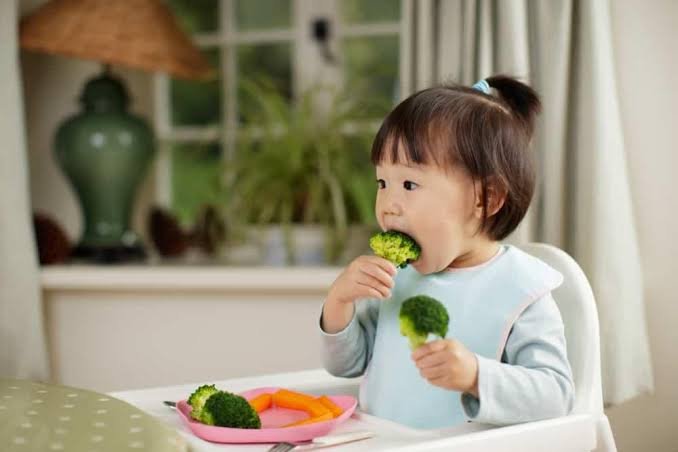 images - 2026-10-26T123104.041