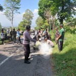 Sasar Hutan Pendidikan UGM, Pembukaan Lahan Tebu Ilegal di Ngawi Digagalkan