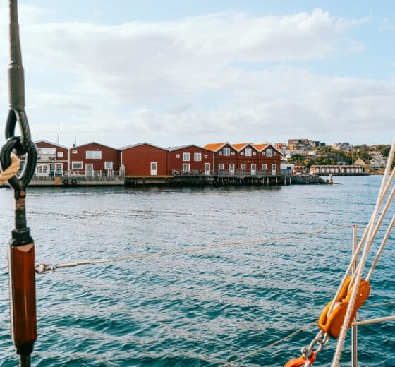 Iris-view-of-Bohuslan-Coast-Sweden-Scandinavia--560x520