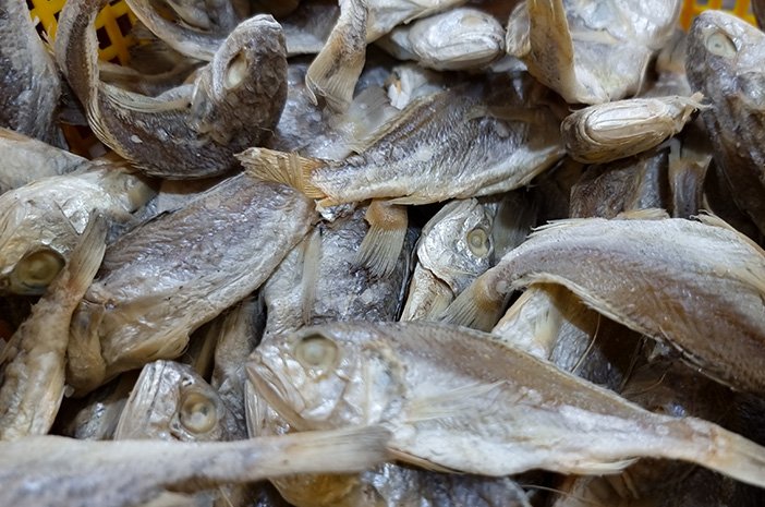 kenali-manfaat-ikan-asin-untuk-kesehatan-halodoc-1