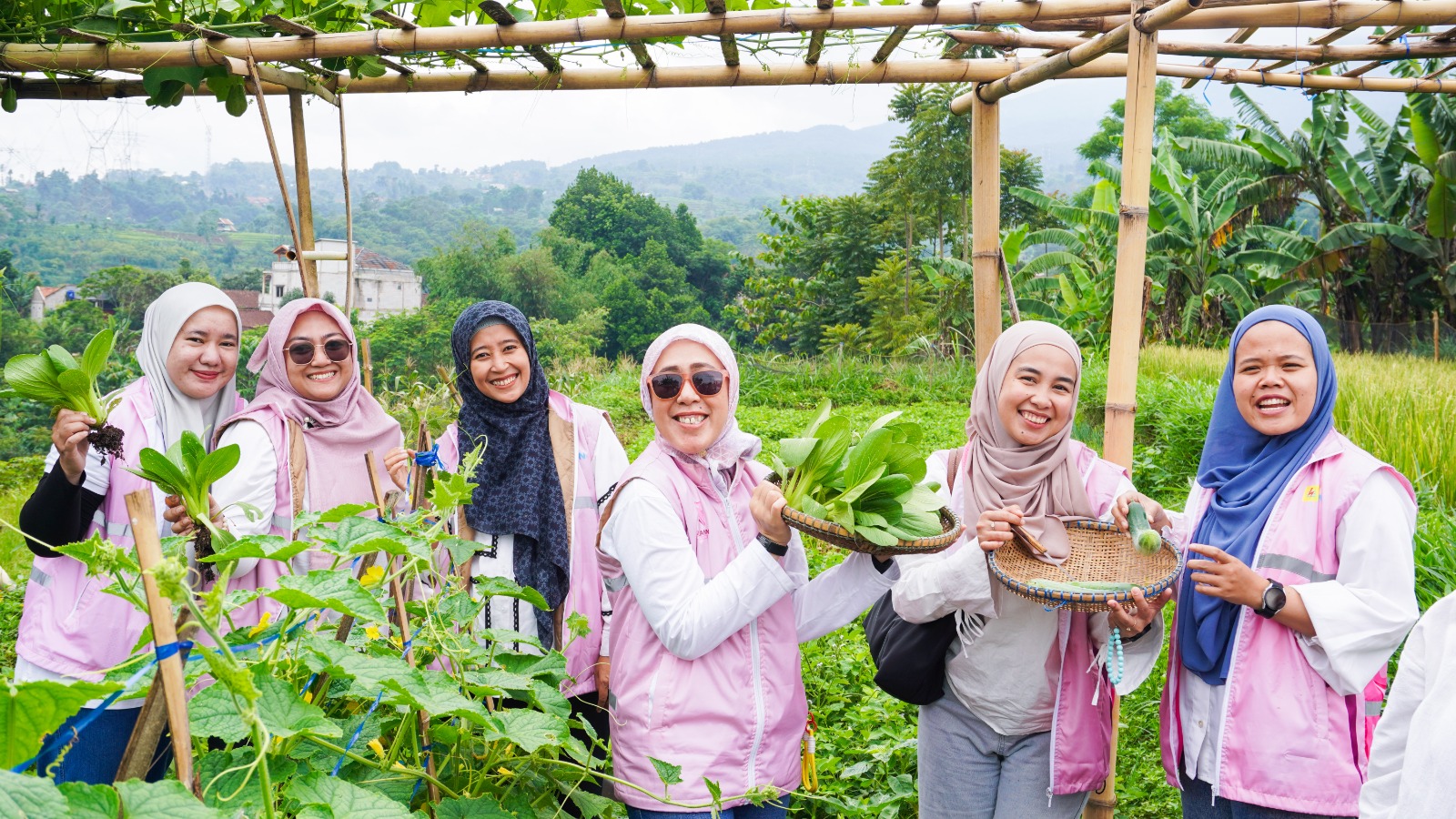 WhatsApp Image 2025-11-13 at 09.08.46_66af9a85