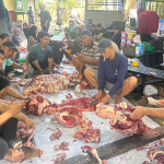 Semeblih 4 Sapi dan 17 Kambing, USM Bagikan Daging Qurban Pada Masyarakat Terdampak Rob dan Pondok Gus Baha